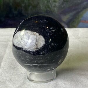 Orthoceras Sphere